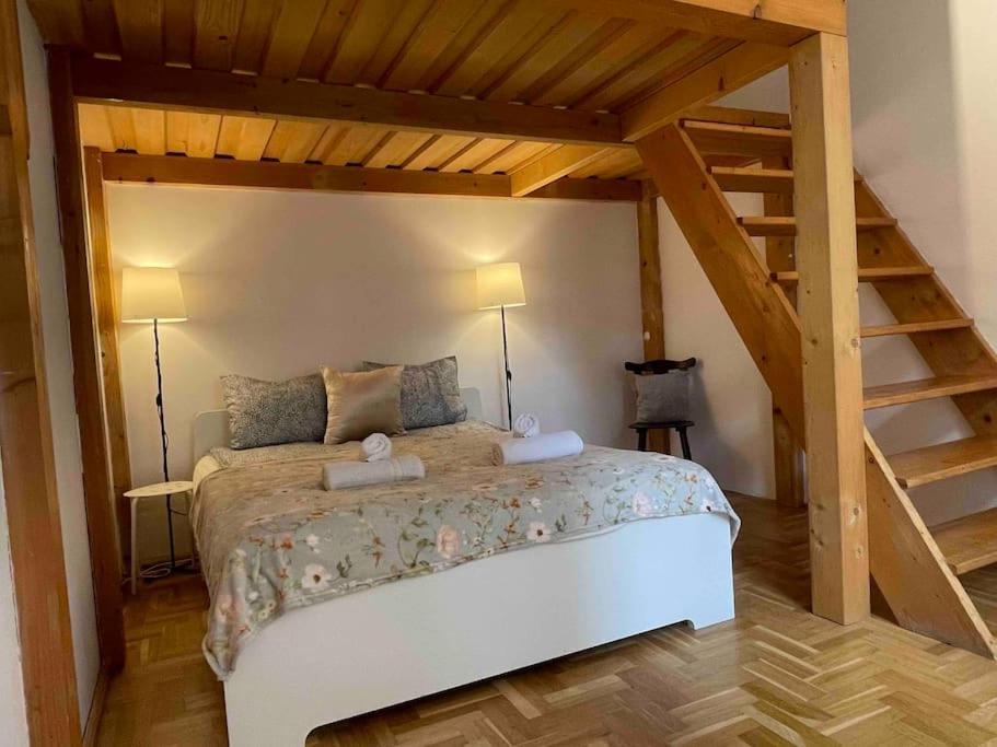Knezits Spacious Ac Terrace Free Parking Budapest Esterno foto