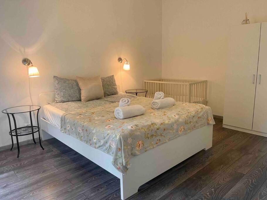 Knezits Spacious Ac Terrace Free Parking Budapest Esterno foto